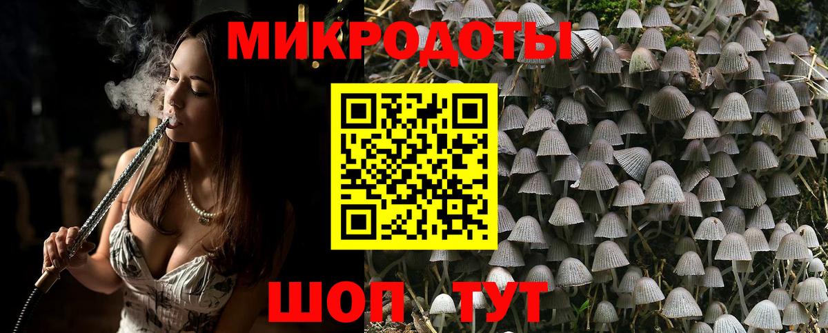 где купить   Вход с VPN  Щёлково  Галлюциногенные грибы прущие грибы 